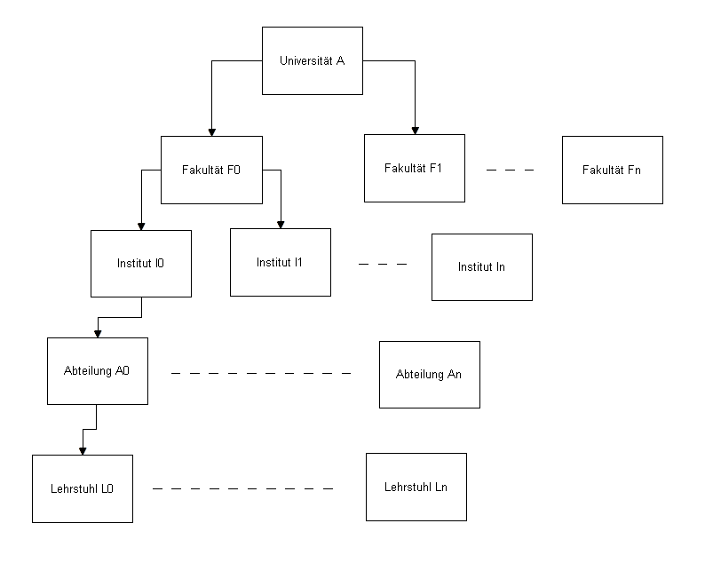 Organisationsaufbau Universität